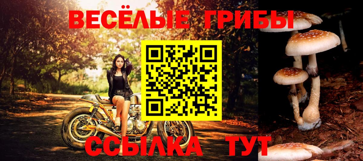 Псилоцибиновые грибы прущие грибы Красноярск